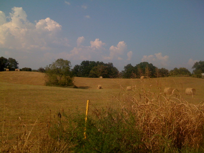 Brownsville, KY Edmonson County country field photo, picture, image