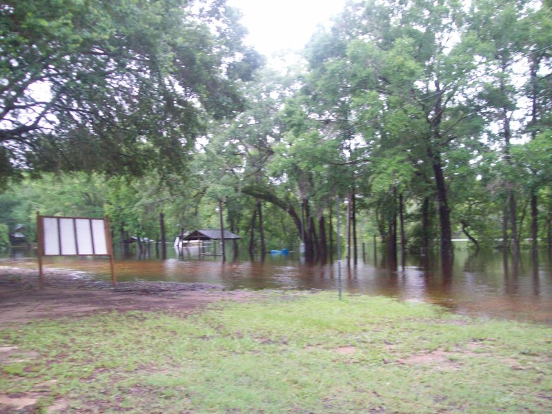 Sopchoppy, FL i took this ;pict the they i left the city park. photo