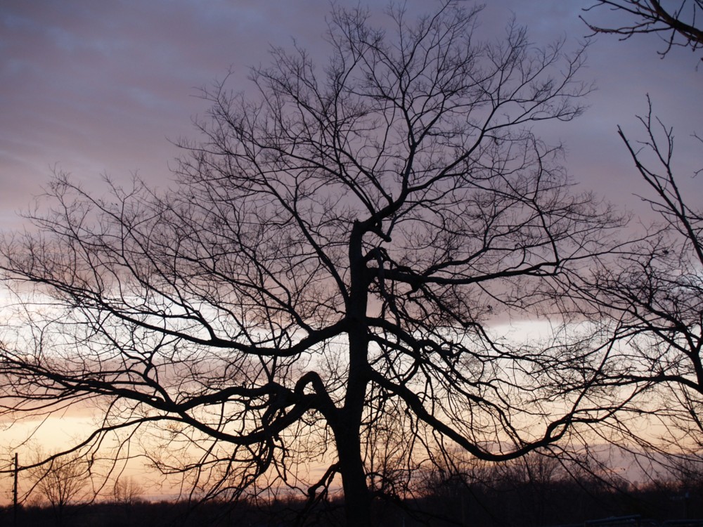 Scottsville, KY Scottsville Winter Dusk photo, picture, image