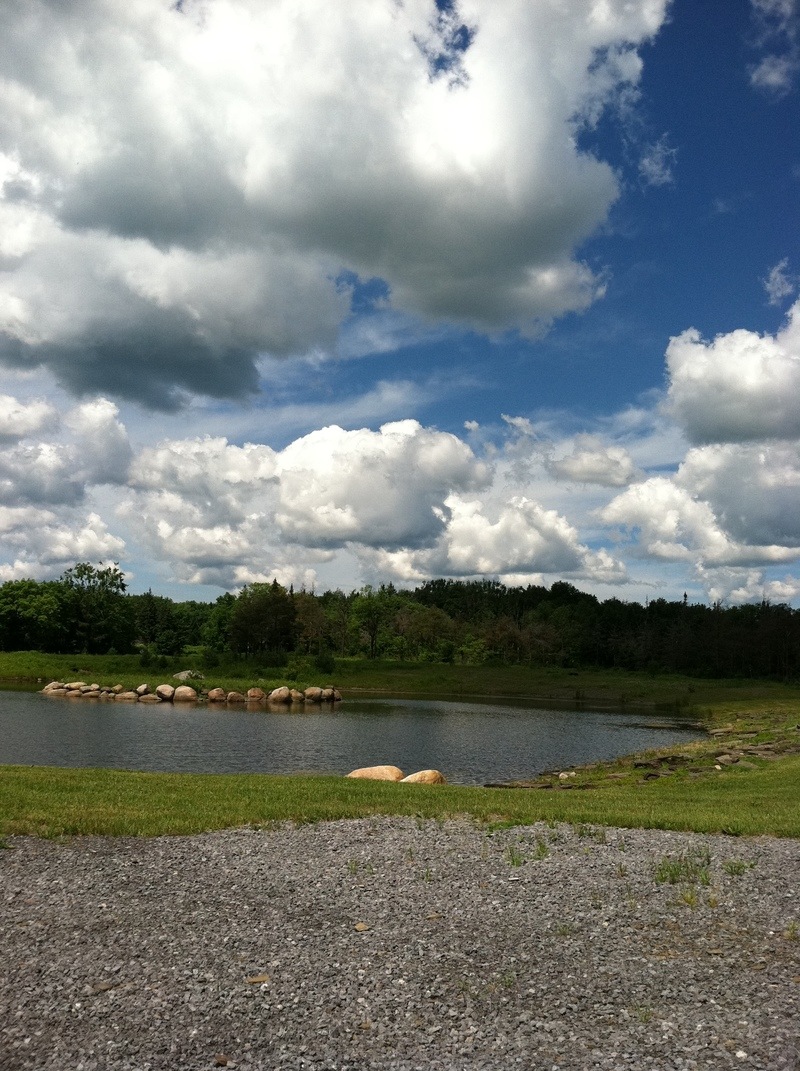 Turin, NY TURIN, NY SCENERY OFF WARD RD CAMP photo, picture, image