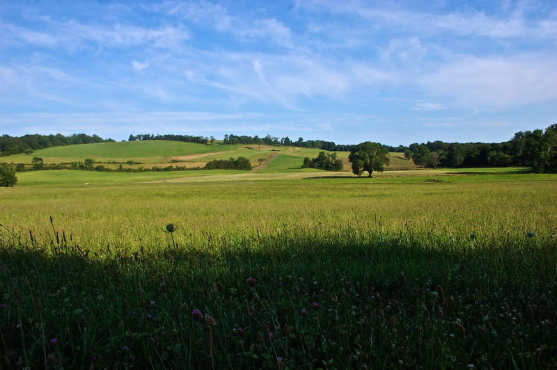 Rocky Hill, CT France Street, Rocky Hill, CT. Taking me back to my
