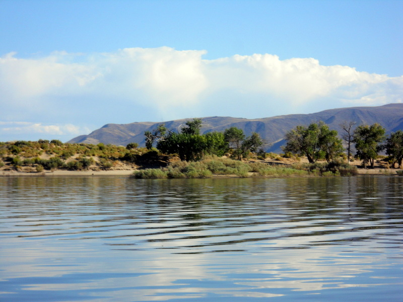 Silver Springs, NV Lake Lahontan 2011 photo, picture, image (Nevada