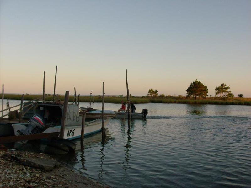 Eastpoint, FL Eastpoint, FL Waterfront, Oyster boat photo, picture