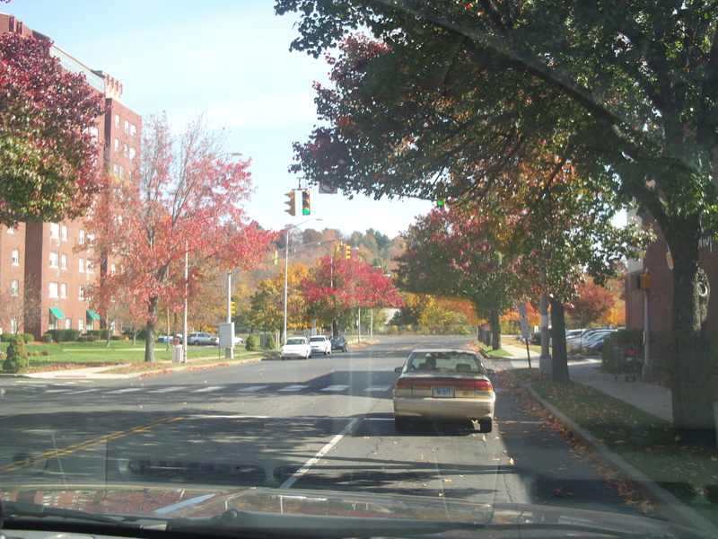 East Haven, CT photo, picture, image (Connecticut) at