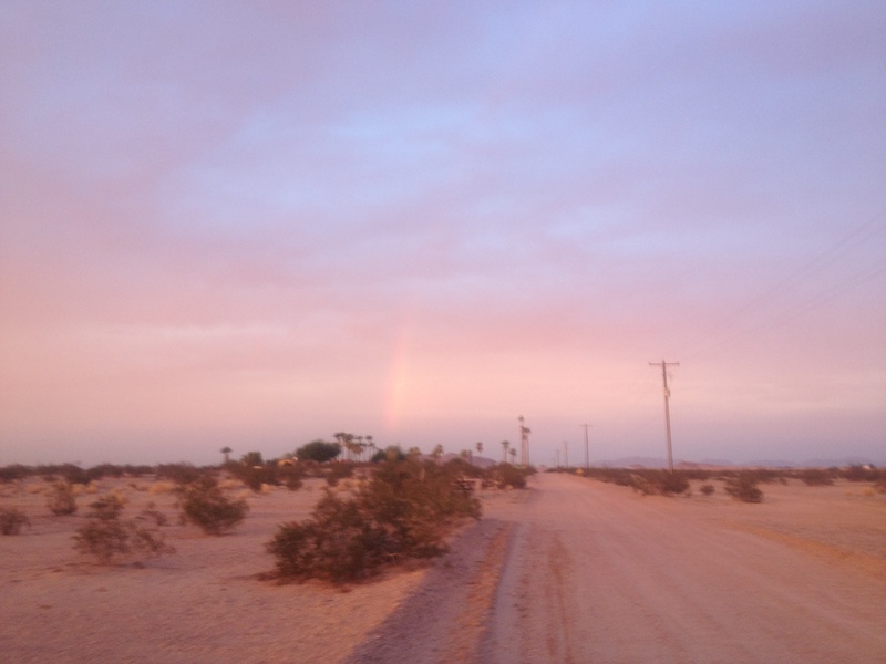 Wellton, AZ Beautiful sunsets photo, picture, image (Arizona) at city