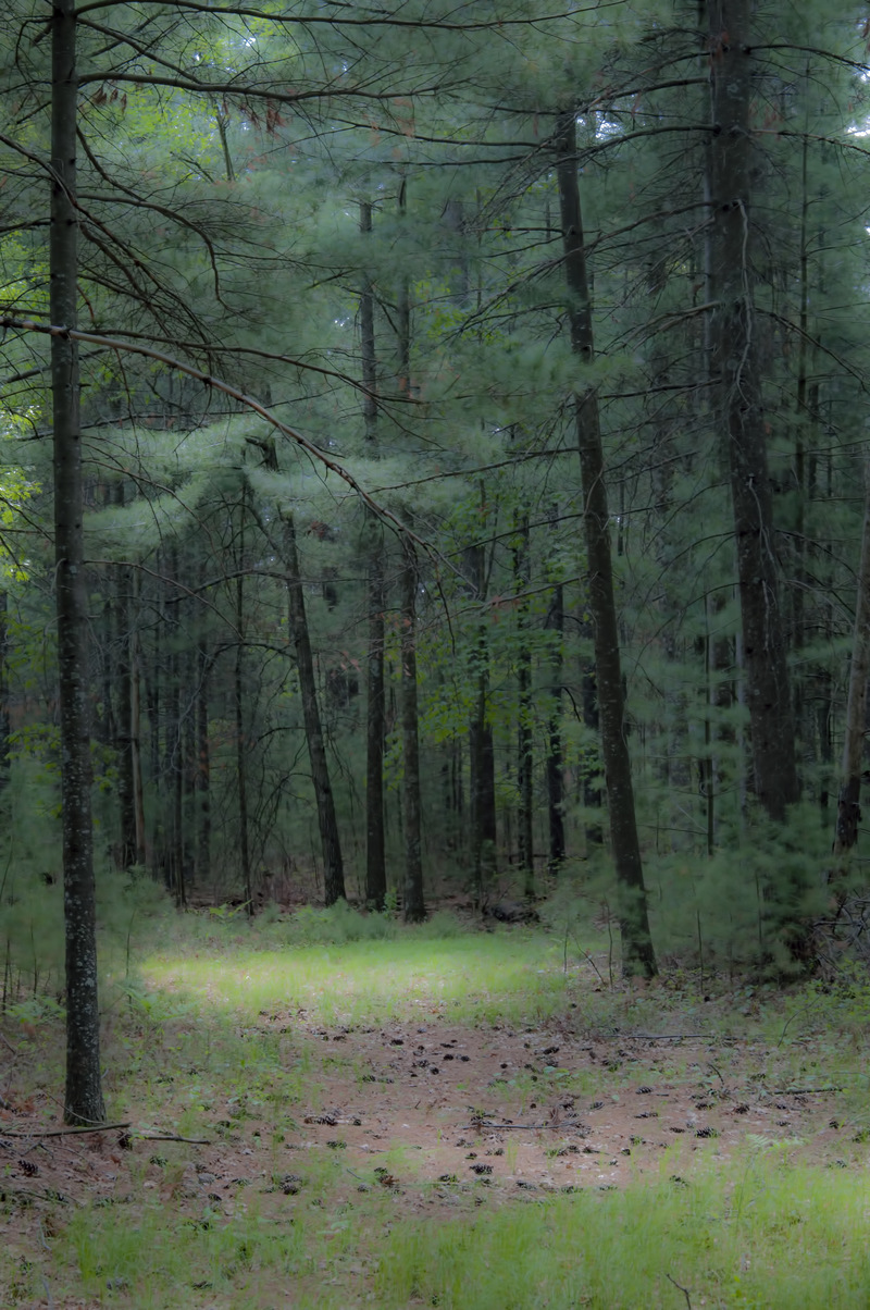 Grantsburg, WI In Crex Meadows photo, picture, image (Wisconsin) at