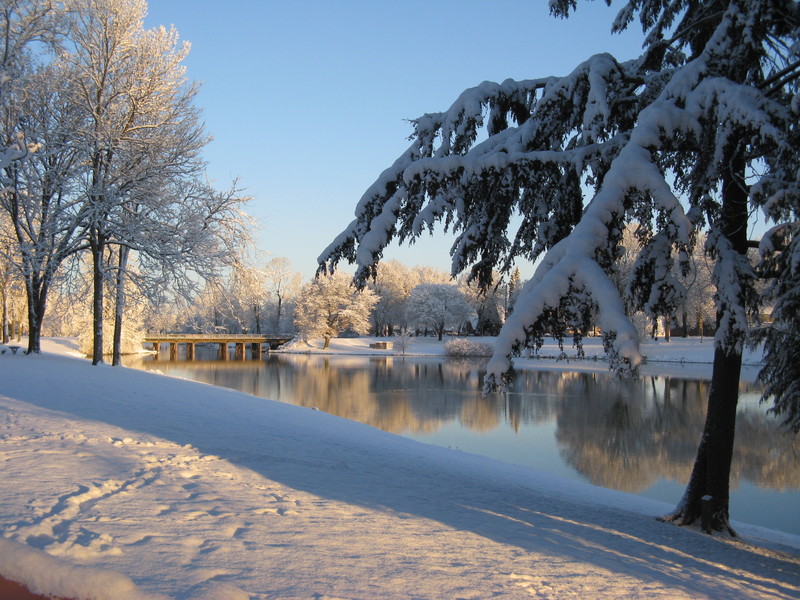 West Longview, WA Winter on the Lake photo, picture
