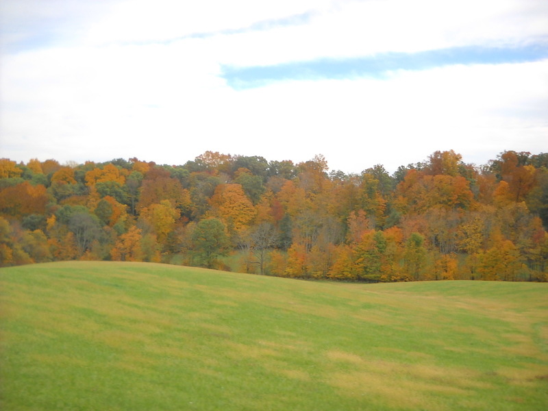 Woodsfield, OH OzarkEddy Bridge Road photo, picture, image (Ohio) at