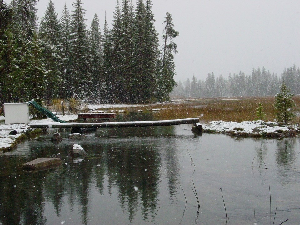 Island Park, ID Buffalo River, Thelin Homestead photo, picture, image (Idaho) at