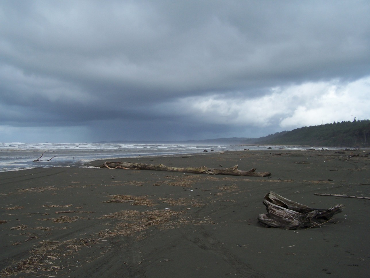 Moclips, WA Winter Storm photo, picture, image (Washington) at city