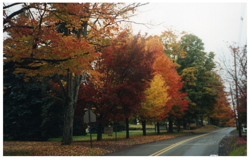 Montrose, PA Lake Avenue, Montrose, PA photo, picture, image