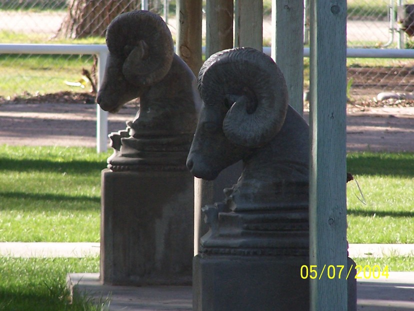 Merino, CO Rams Statues at entrance to Town Park Pavilion photo