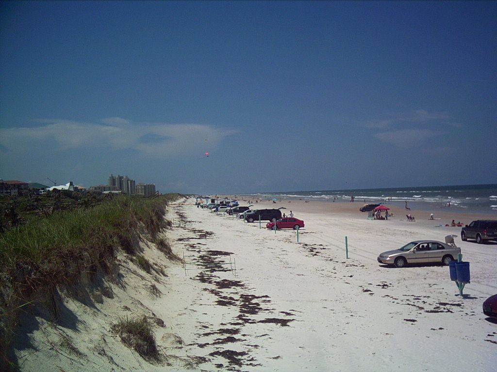 New Smyrna Beach, FL Sand Dunes at New Smyrna Beach, August 2005