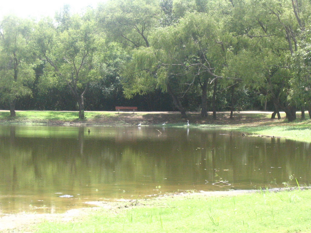 Monroe, LA Forsythe Park photo, picture, image (Louisiana) at city