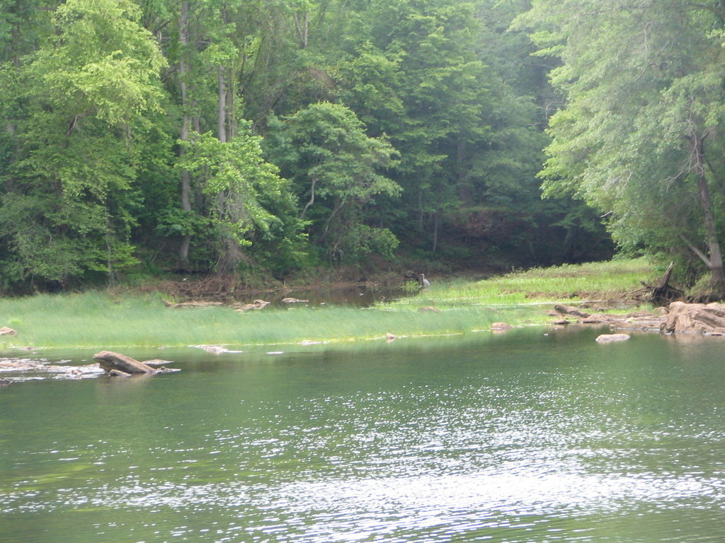 Cartersville, GA etowah river photo, picture, image at city