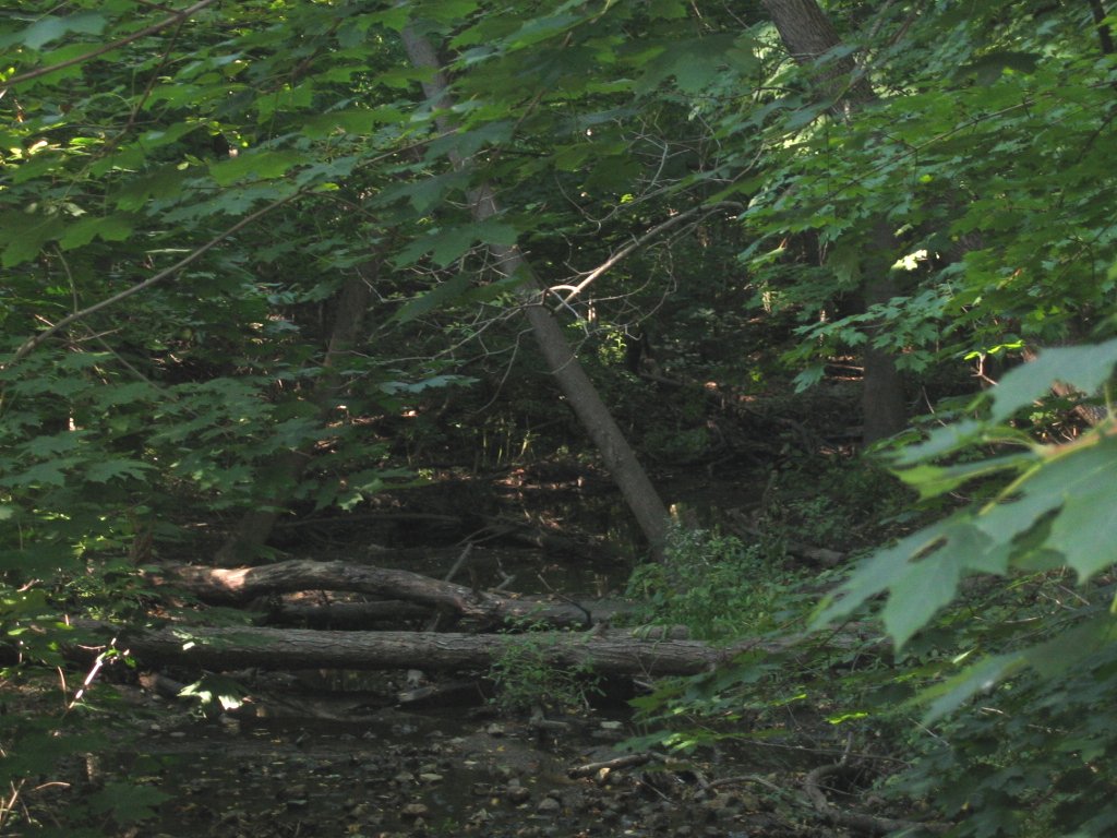 Waukegan, IL Bowen Park the park trail on the east side photo