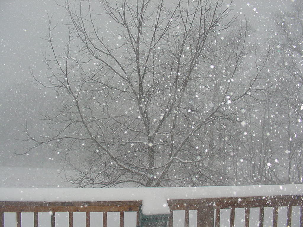 Medusa, NY Snowfall at Medusa photo, picture, image (New York) at