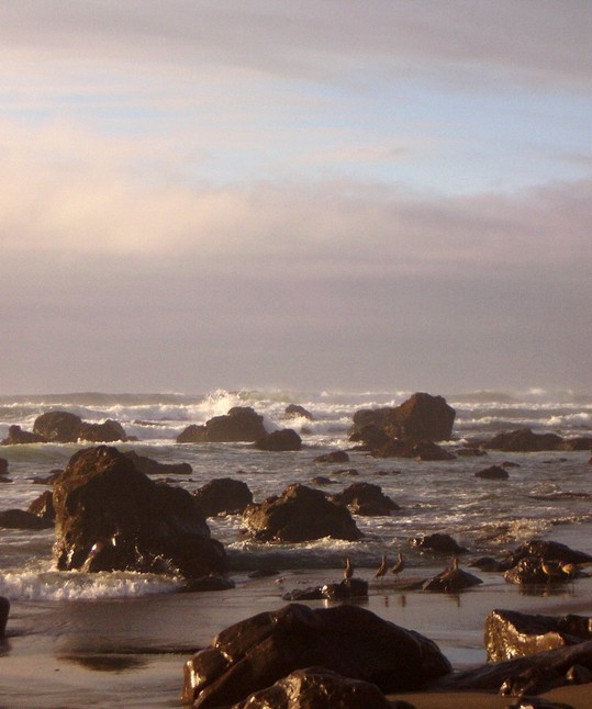 Bodega Bay, CA Bodega Bay Salmon Beach photo, picture, image