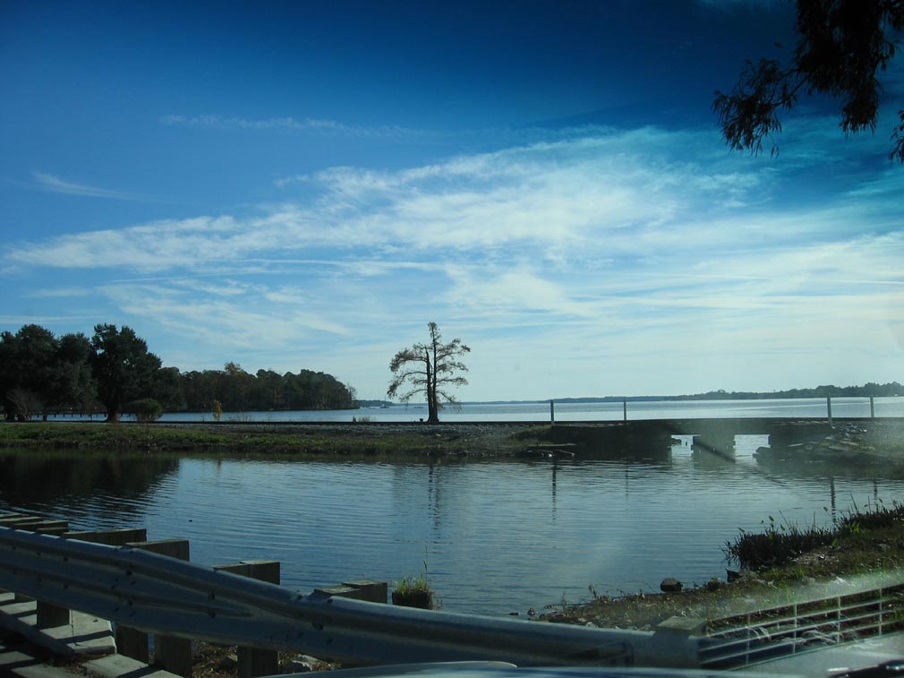 Washington, NC City park photo, picture, image (North Carolina) at