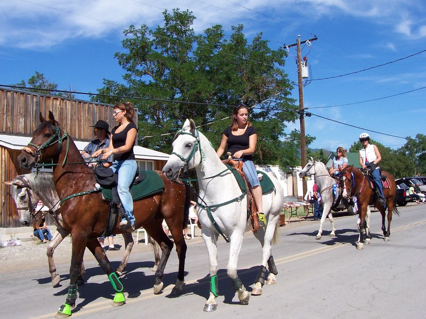 Hornbrook, CA SOme of the beautiful horses in the Annual Hornbrook