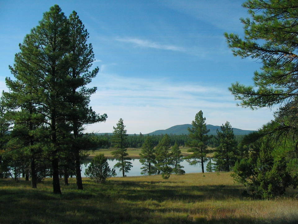 Flagstaff, AZ Upper Lake Mary photo, picture, image (Arizona) at city