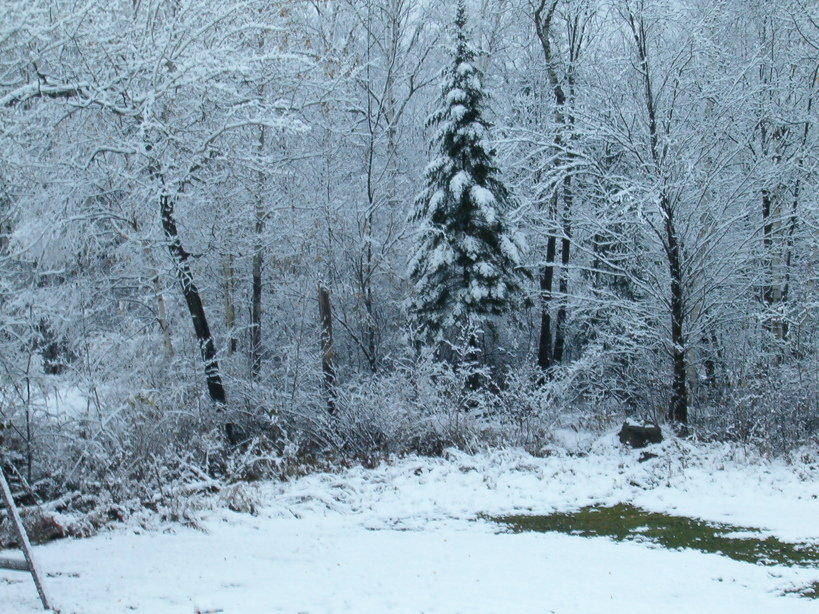 Tupper Lake, NY Winter in Tupper Lake, NY photo, picture, image (New