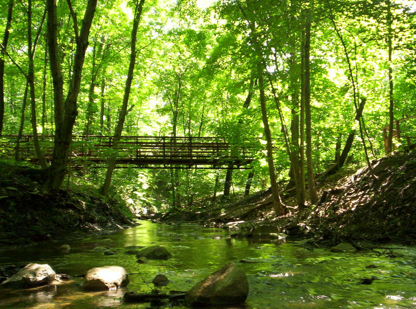 North Ridgeville, OH The French Creek Near AvonBelden Rd. (83) photo