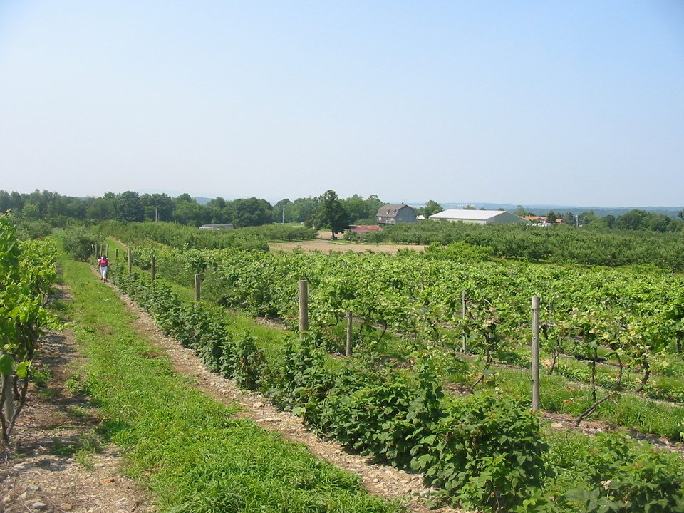 Monroe, NY A farm just outside Monroe near New Jersey border photo, picture, image (New York