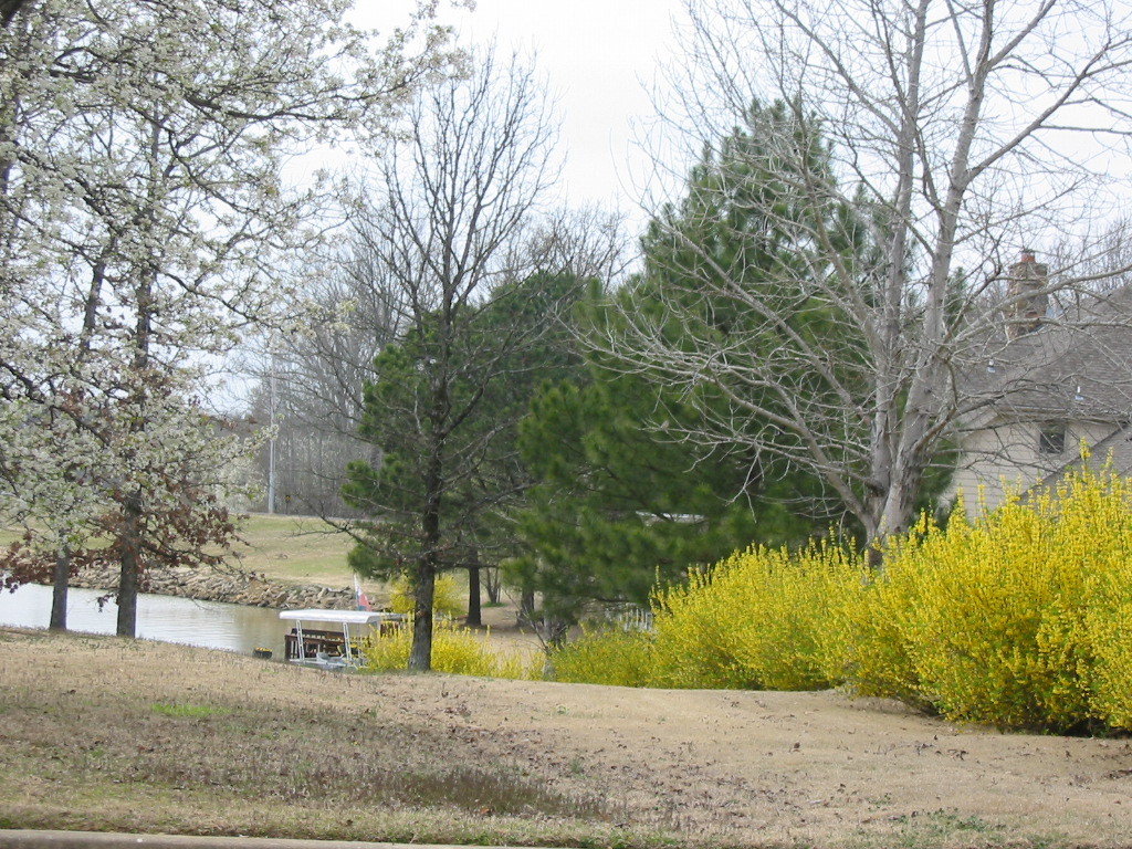 Lakeland, TN Lakeland neighborhood photo, picture, image (Tennessee