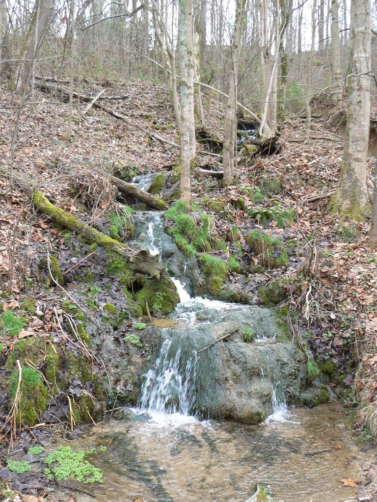 Kingsport, TN Kingsport's Greenbelt walking path photo, picture