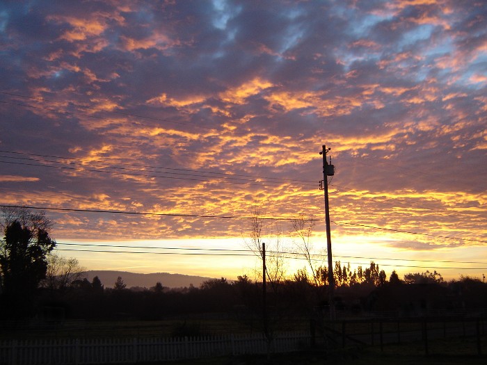 Sebastopol, CA Sunrise in rural Sebastopol photo, picture, image (California) at