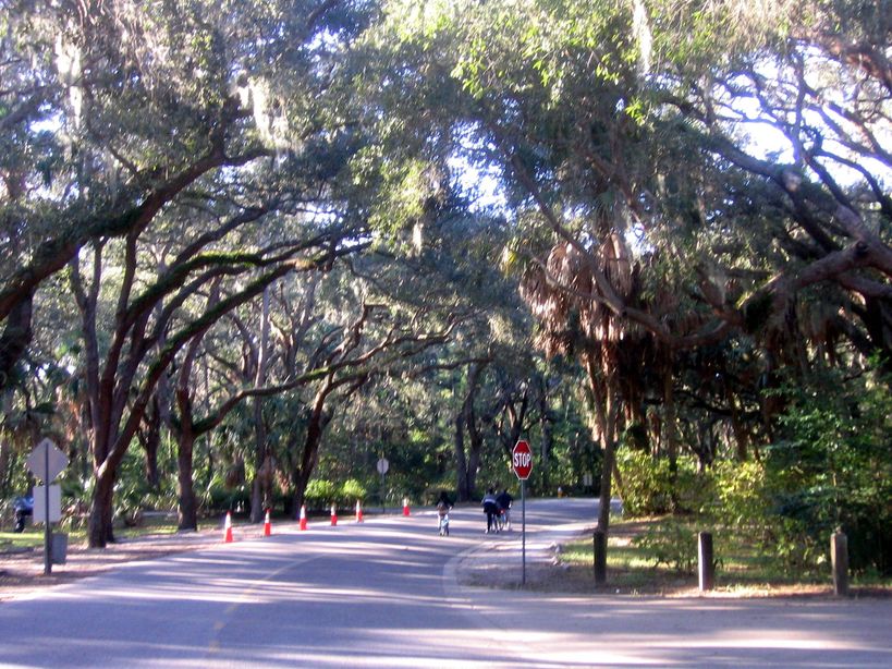 Safety Harbor, FL Philippe Park photo, picture, image (Florida) at