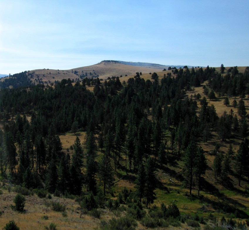 Long Creek, OR Hills south of town..... photo, picture, image (Oregon