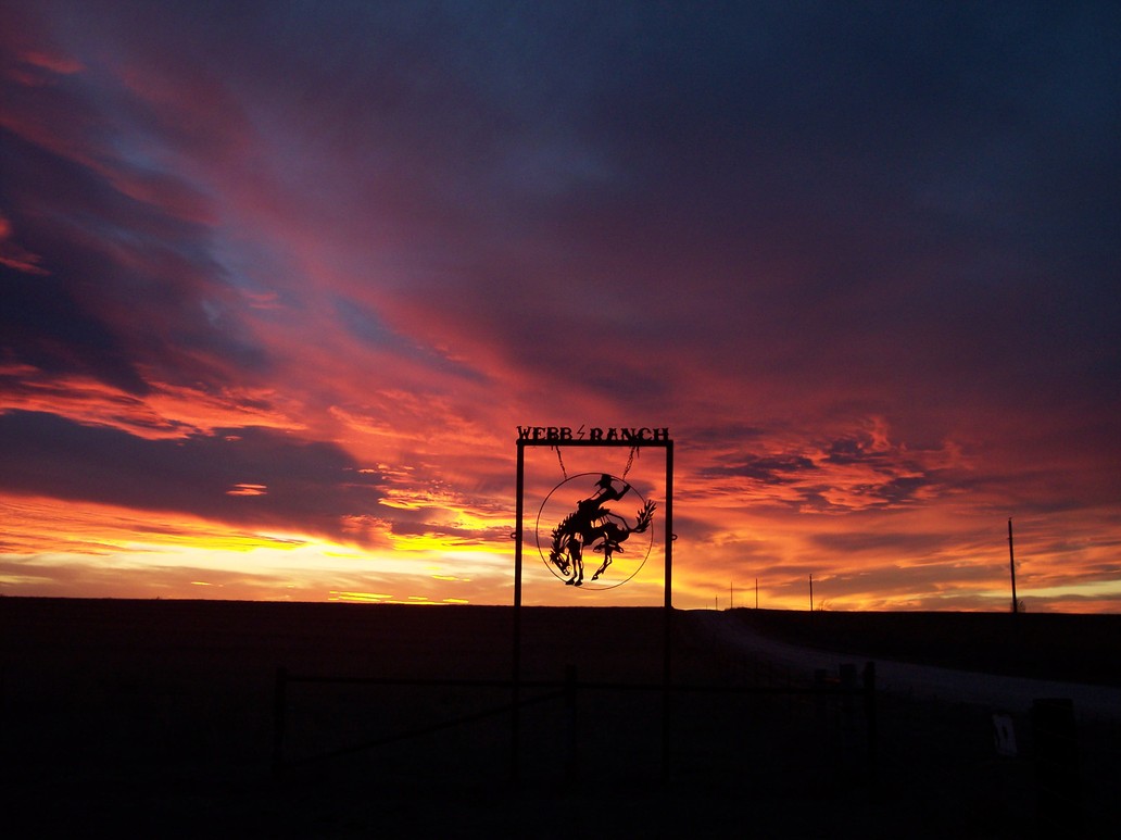Darrouzett, TX Only God can paint like that photo, picture, image