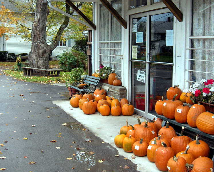 Wellsboro, PA Stonyfork Creek Store Wellsboro photo, picture, image