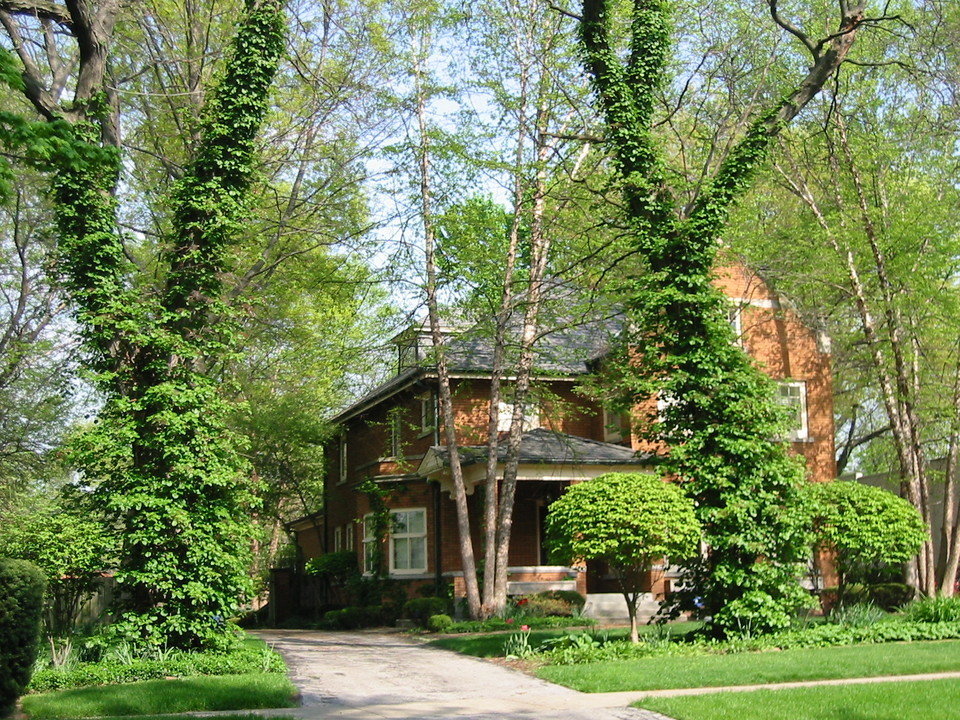 Hammond, IN Hammond photo, picture, image (Indiana) at