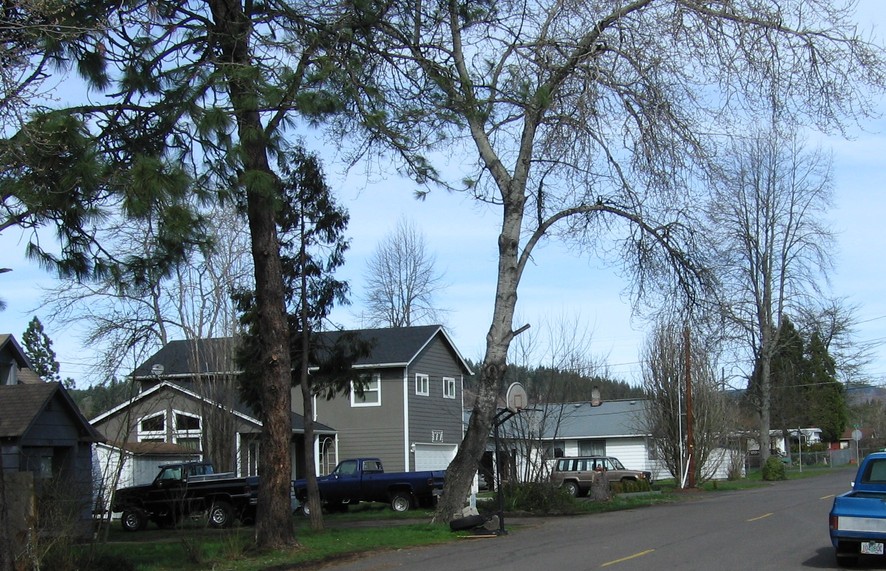 Lowell, OR Lowell Street photo, picture, image (Oregon) at