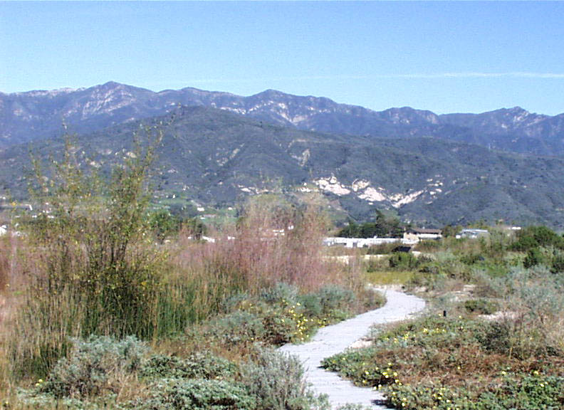 Carpinteria, CA Carpinteria Salt Marsh Nature Park photo, picture
