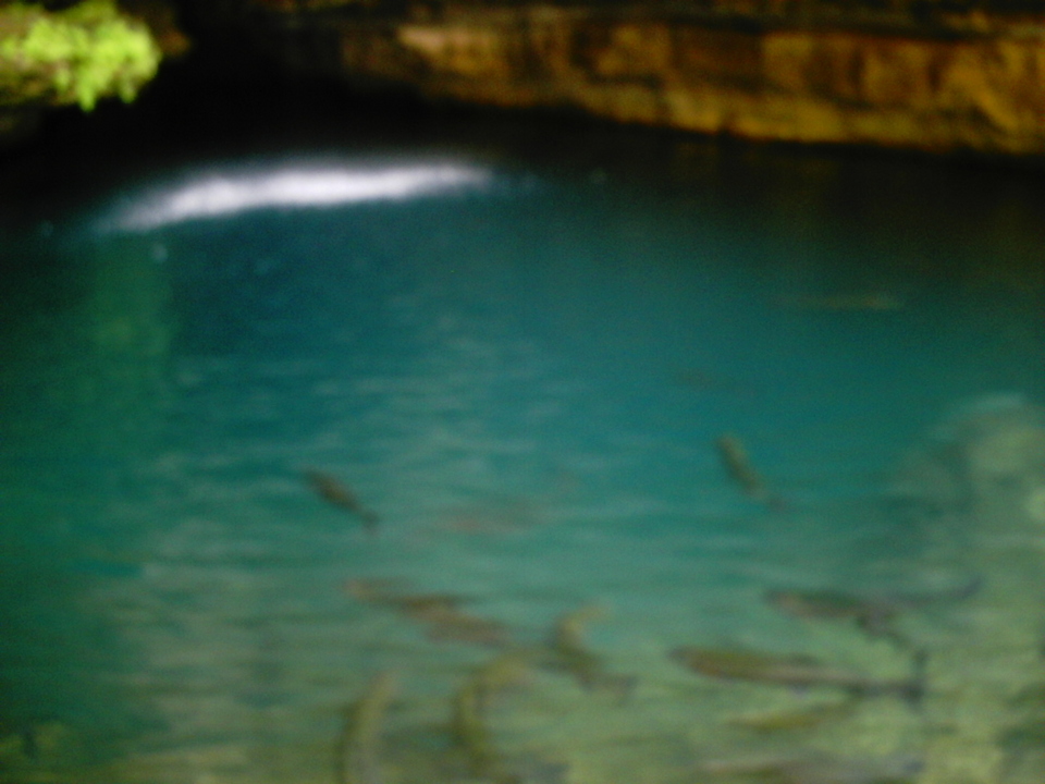 Cassville, MO Cassville, MO; Roaring River Spring photo, picture