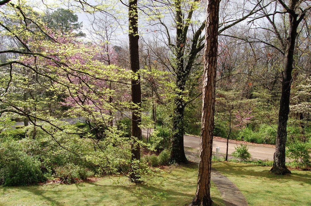 Signal Mountain, TN Second Story photo, picture, image (Tennessee) at