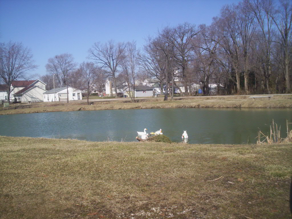 Goodland, IN Ducks at Pond photo, picture, image (Indiana) at city