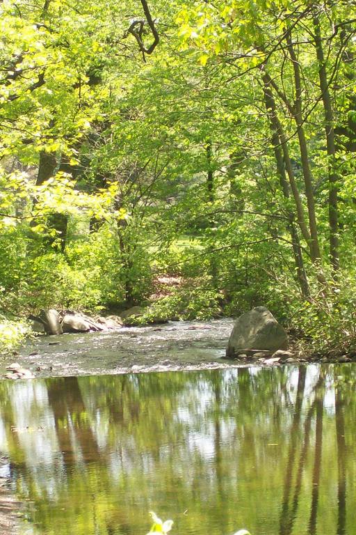 Naugatuck, CT One of Many Streams in Naugatuck photo, picture, image