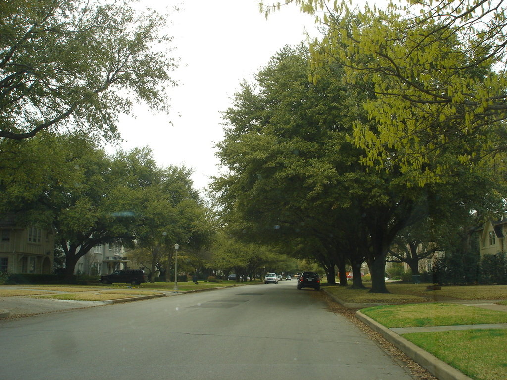 Highland Park, TX Residential street in Highland Park, Tx. photo