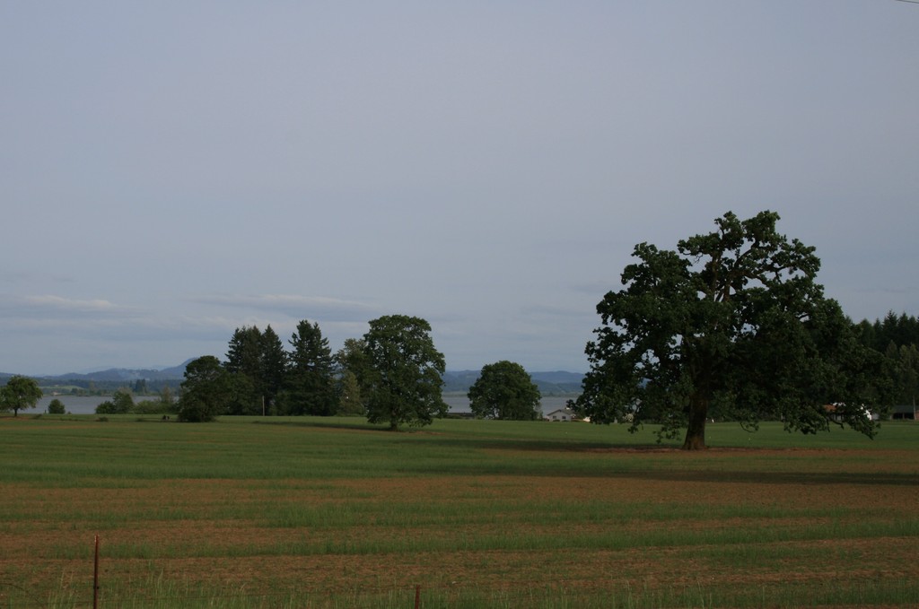 OR Farmland photo, picture, image (Oregon) at