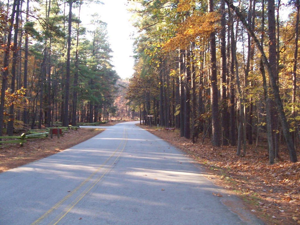 Cary, NC Umstead State Park, Reedy Creek Entrance photo, picture