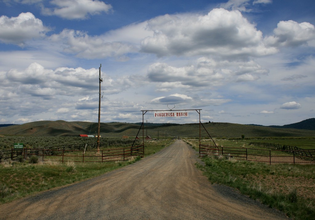 Seneca, OR Ben, Hoss & Little Joe live here..... photo, picture