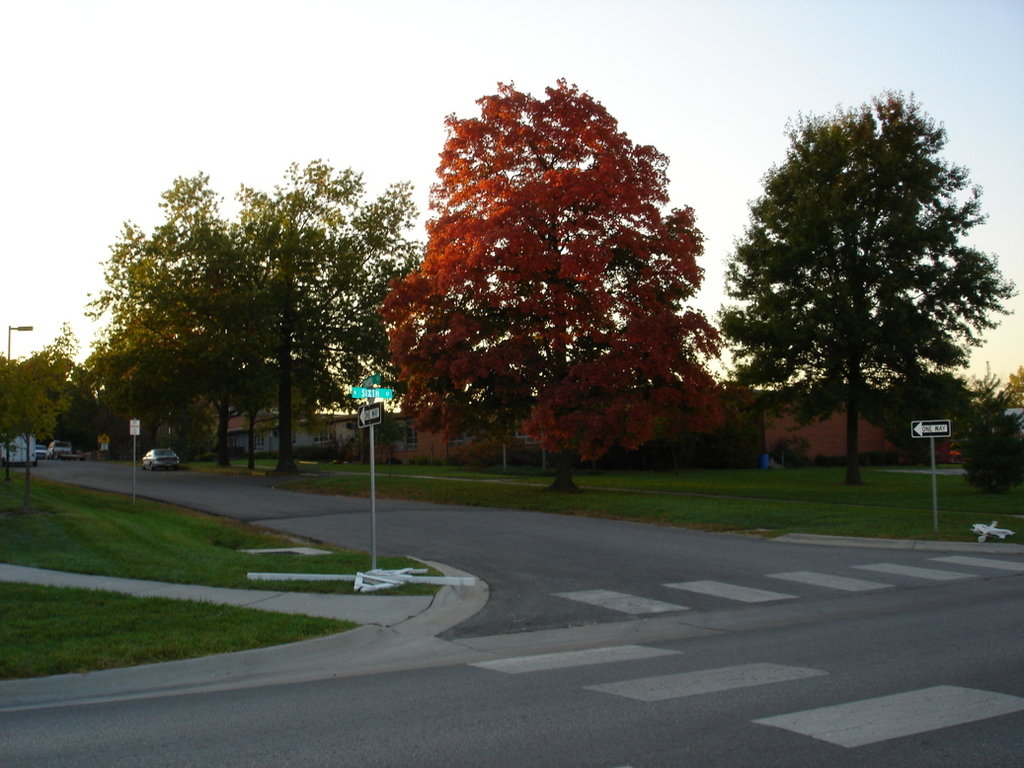 Baldwin City, KS Elementary School on the Week of the Maple Leaf