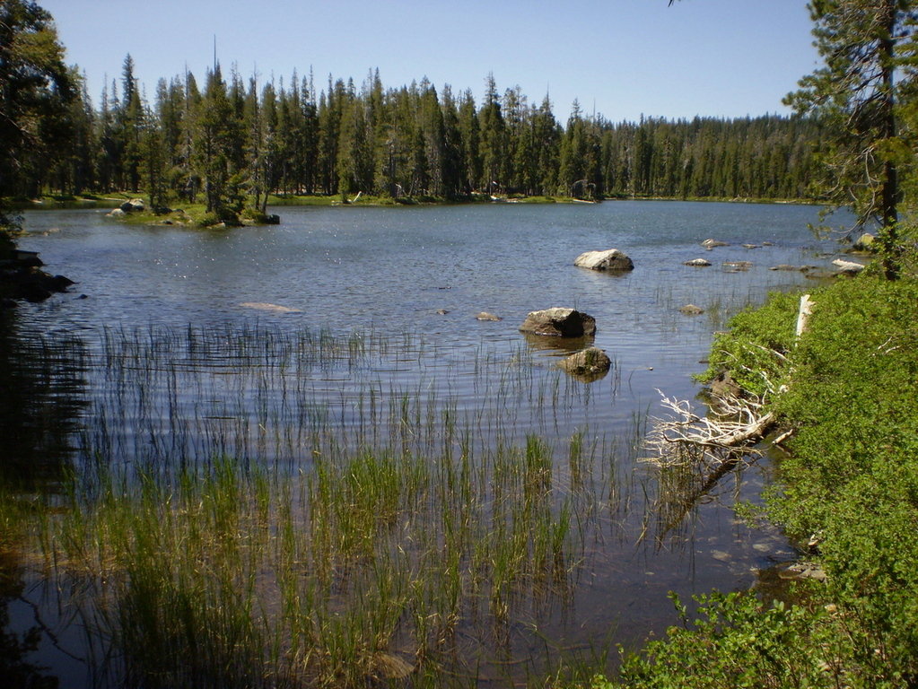 Graeagle, CA Goose Lake photo, picture, image (California) at city
