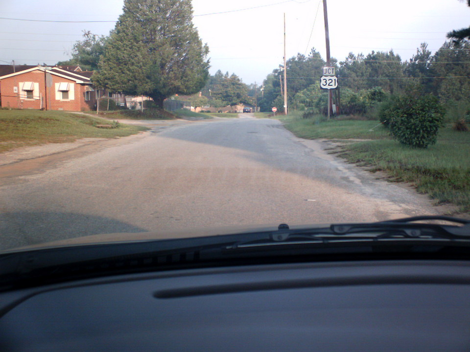 Norway, SC Lupine Circle & Hwy 321 photo, picture, image (South