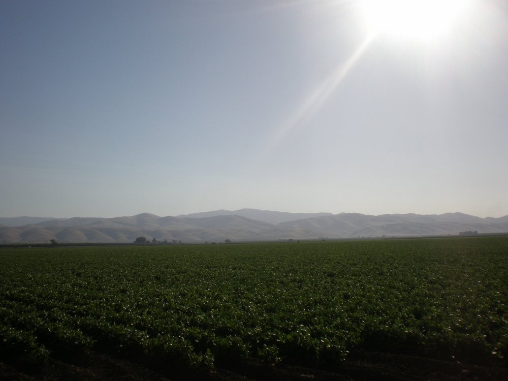 Westley, CA Mount Oso and Diablo Range Just west of Westley photo